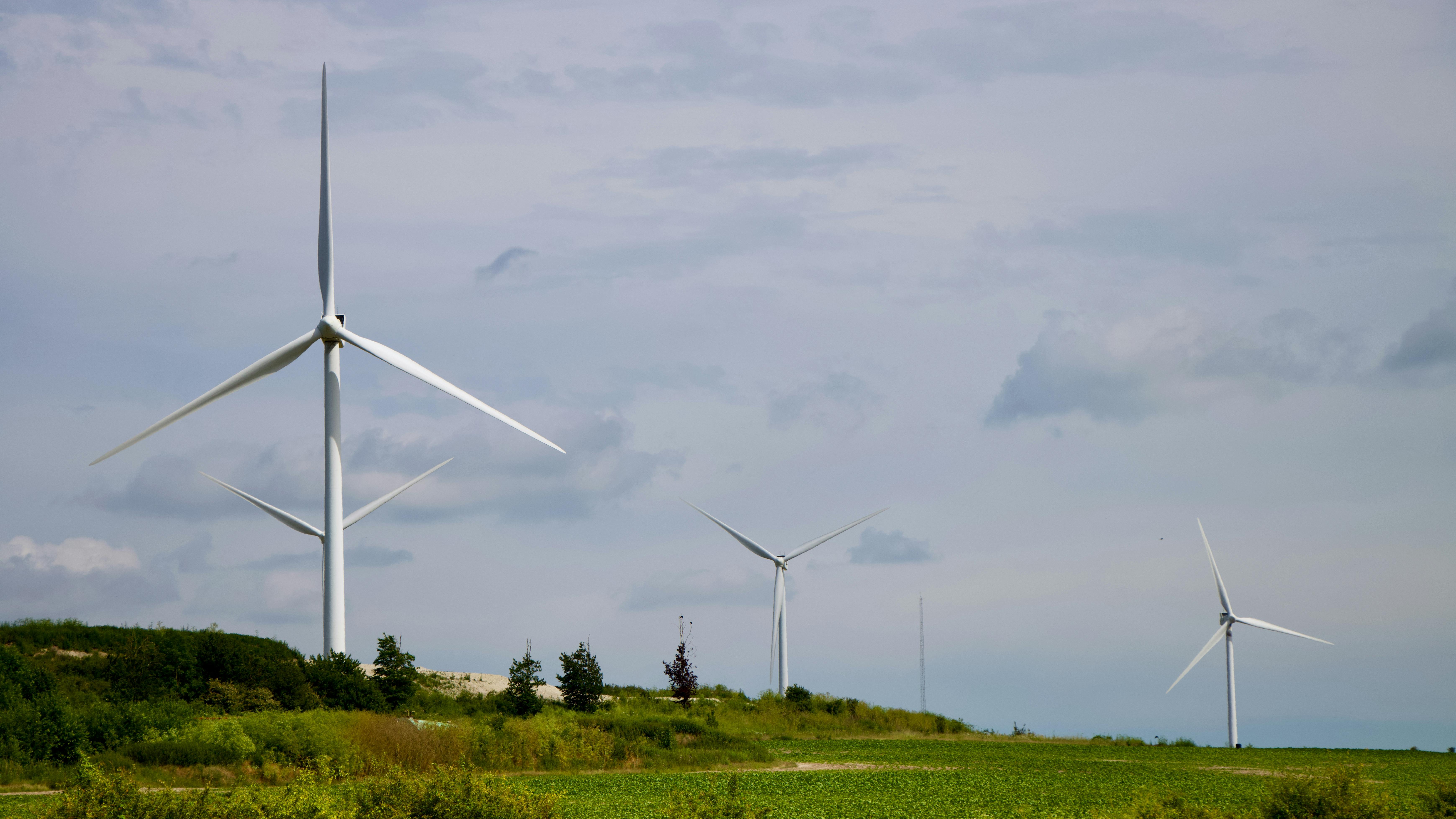 Sustainability background